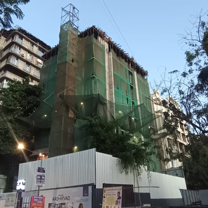 Project Update January