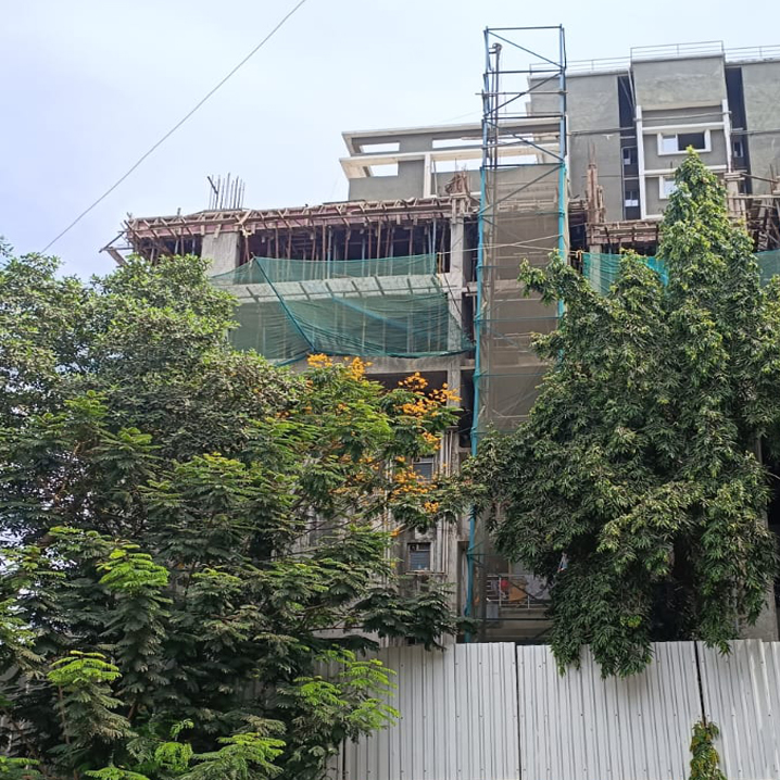 Project Update January