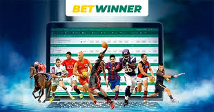 Registration BetWinner Your Guide to Getting Started